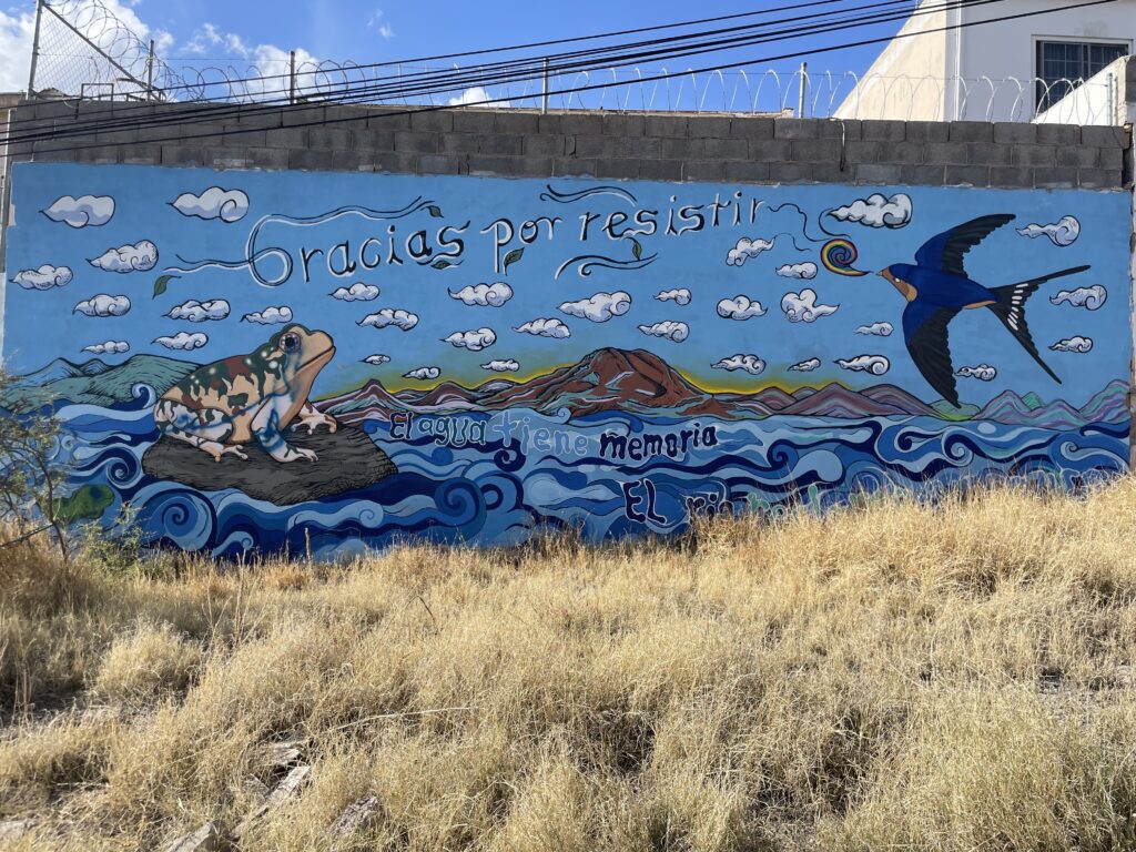 Semati img 0644